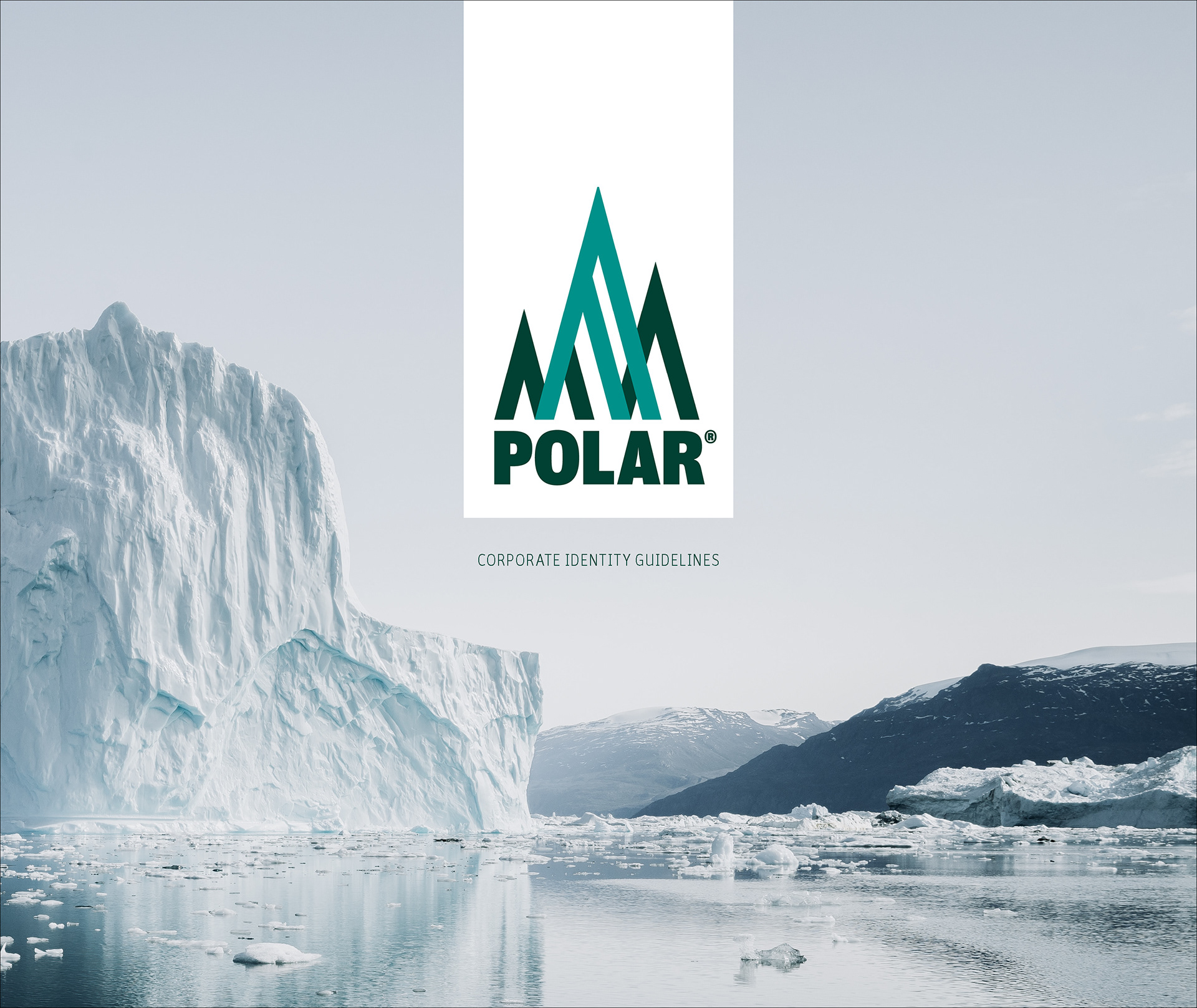 Polar: Identity Guidelines — project artwork, image 4