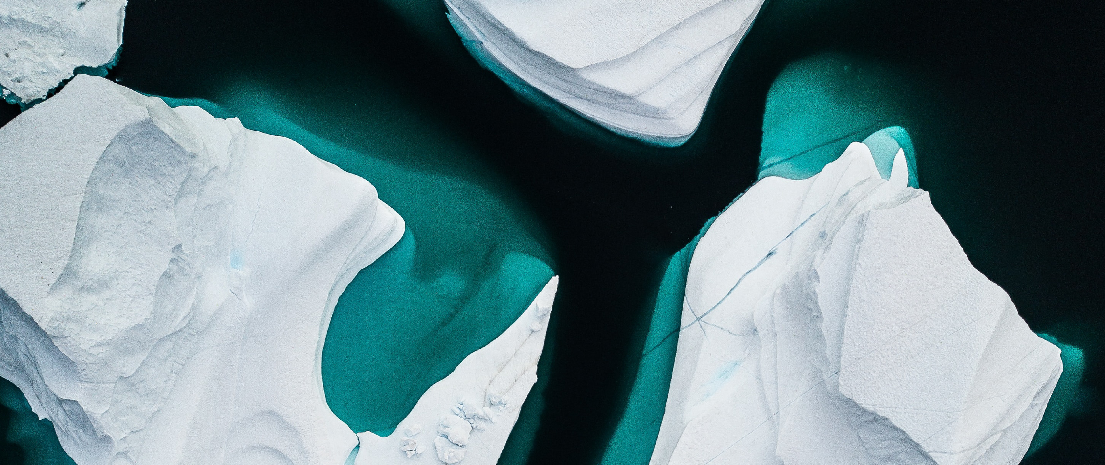 Polar: Identity Guidelines — project artwork, image 20