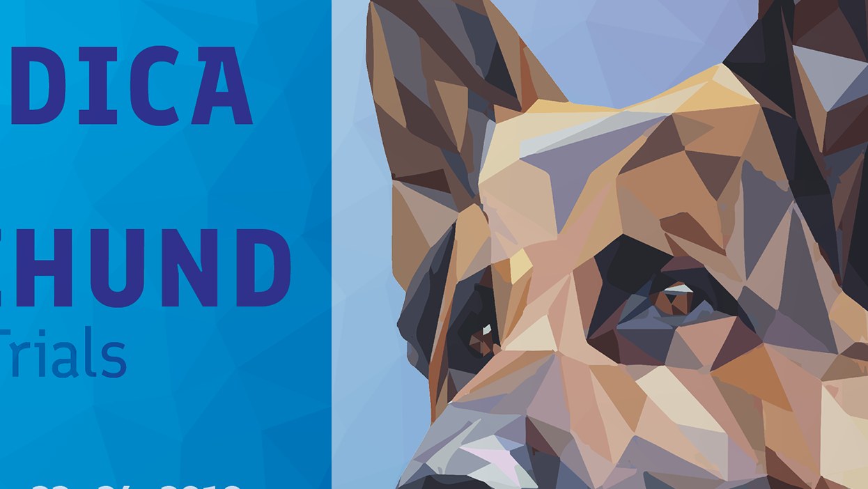 Finlandica: Schutzhund — preview detail