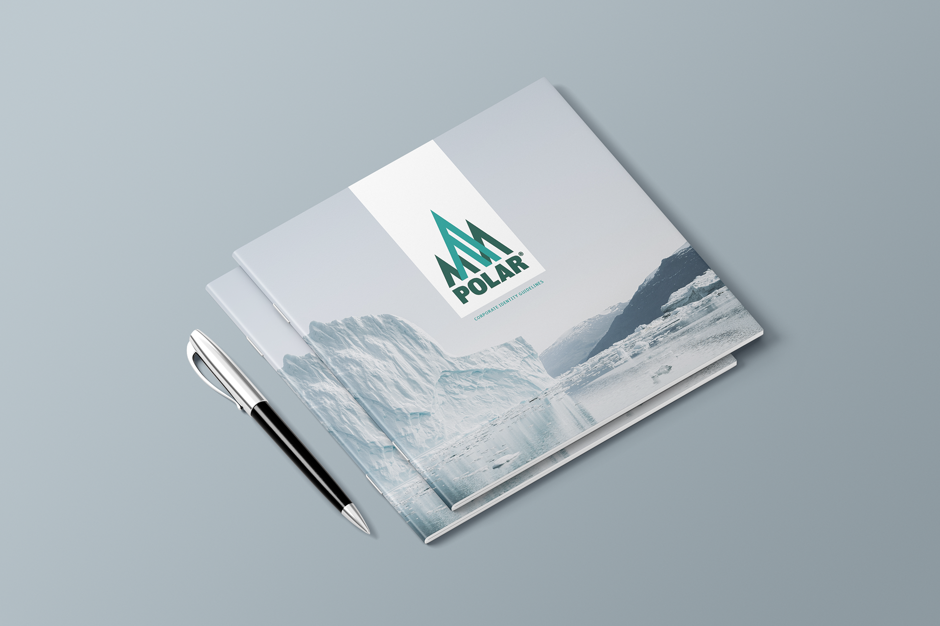 Polar: Identity Guidelines — project artwork, image 2