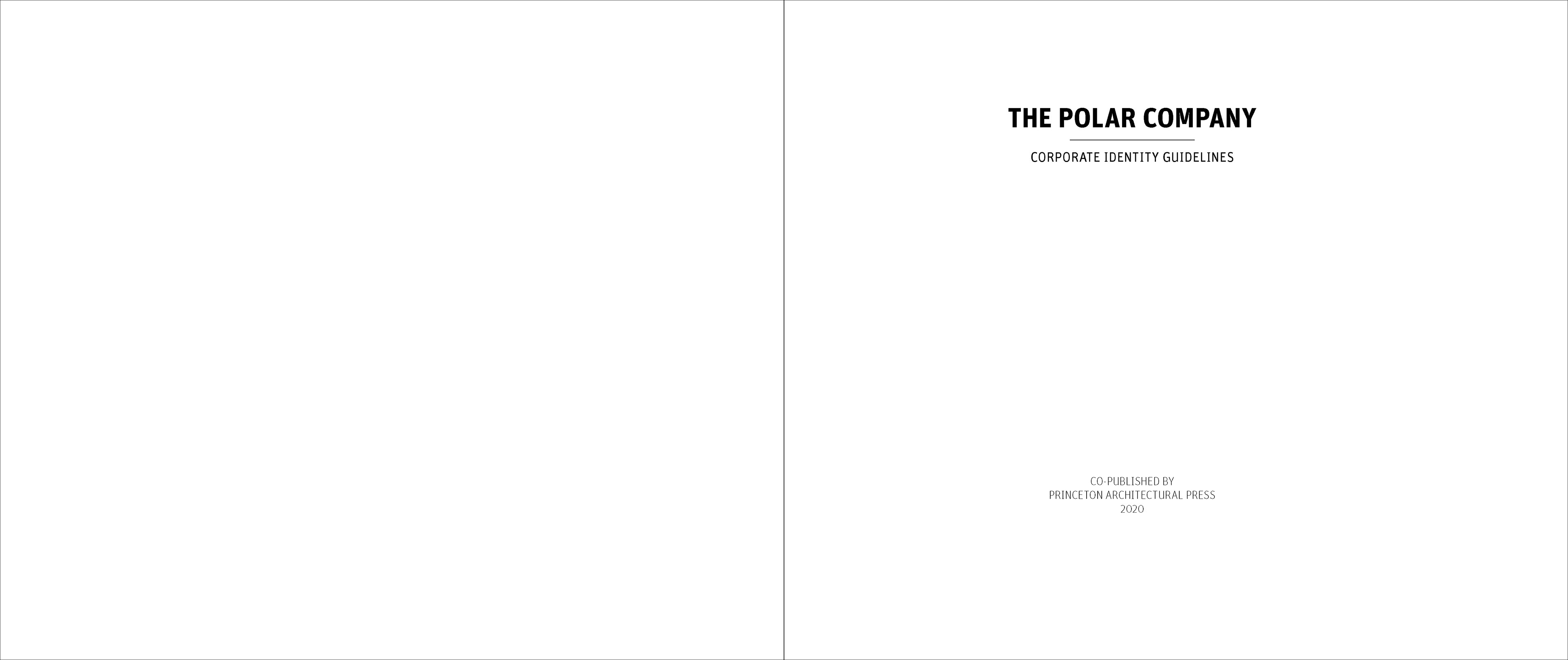 Polar: Identity Guidelines — project artwork, image 5