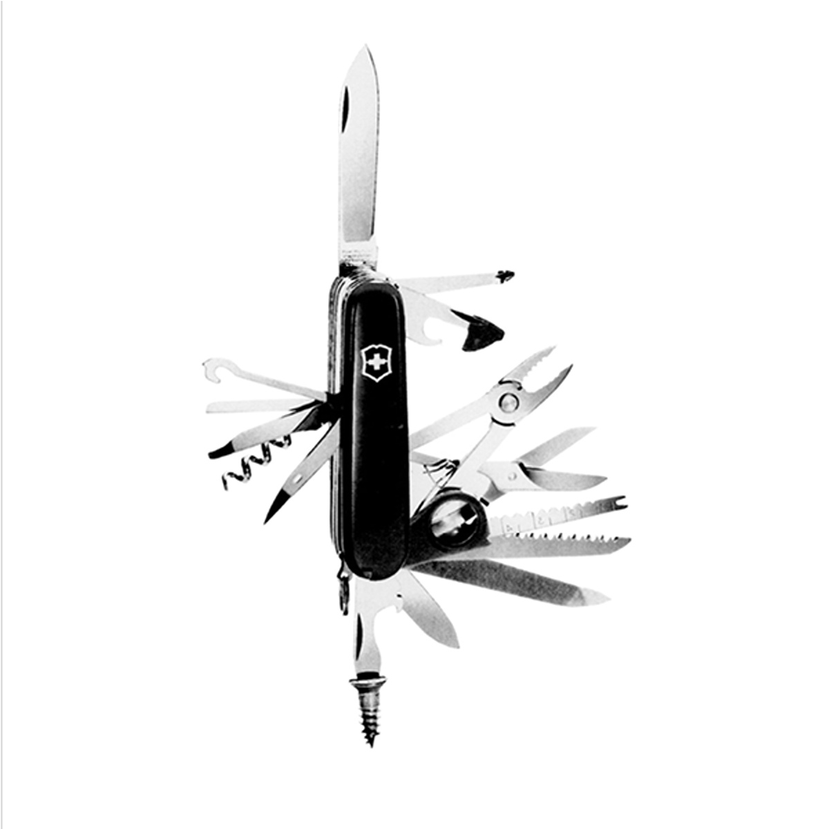 Jordon Ely — student artwork, image 1