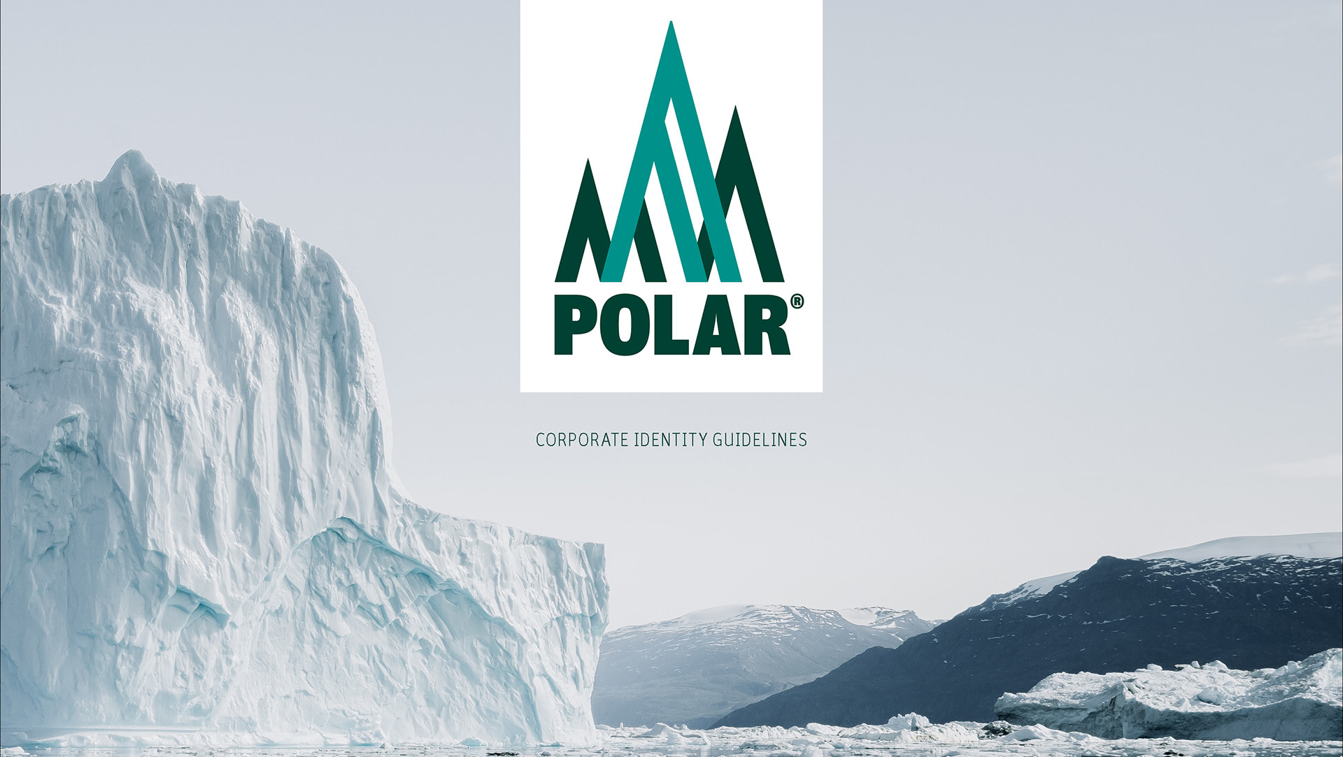 Polar: Identity Guidelines — project cover