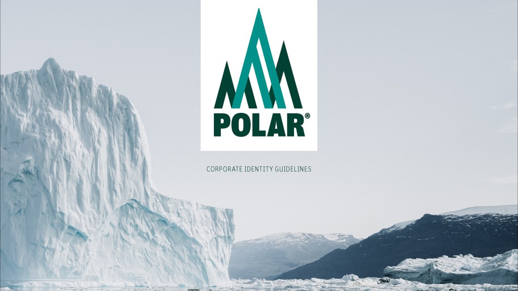 Polar: Identity Guidelines — portfolio project cover