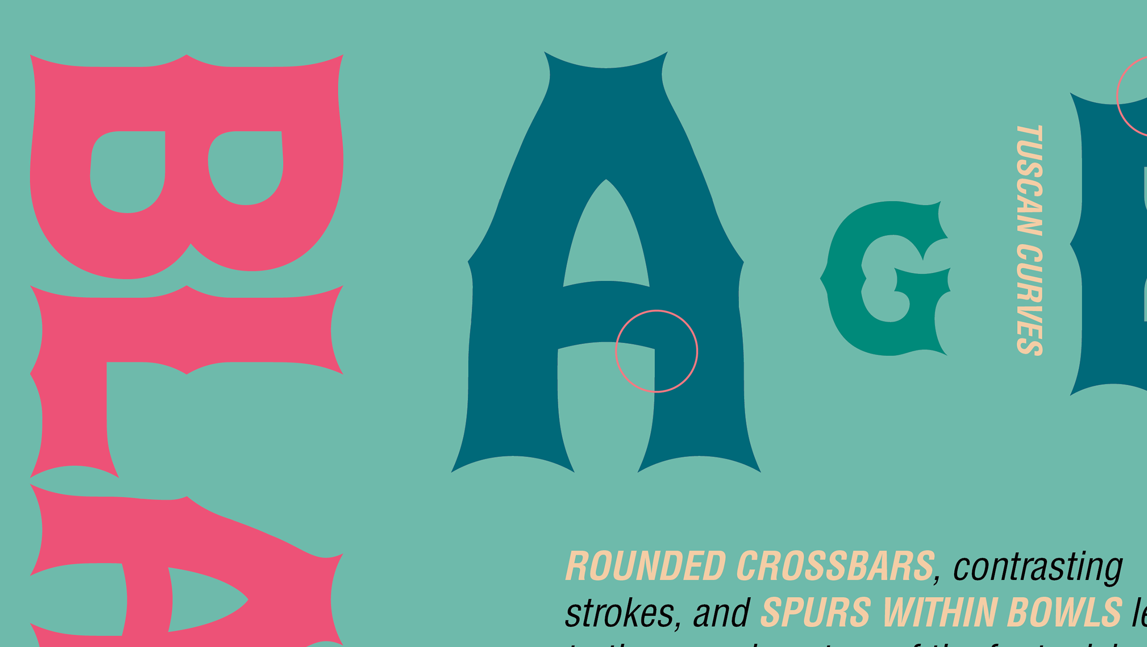 Typeface: Blaise — project cover
