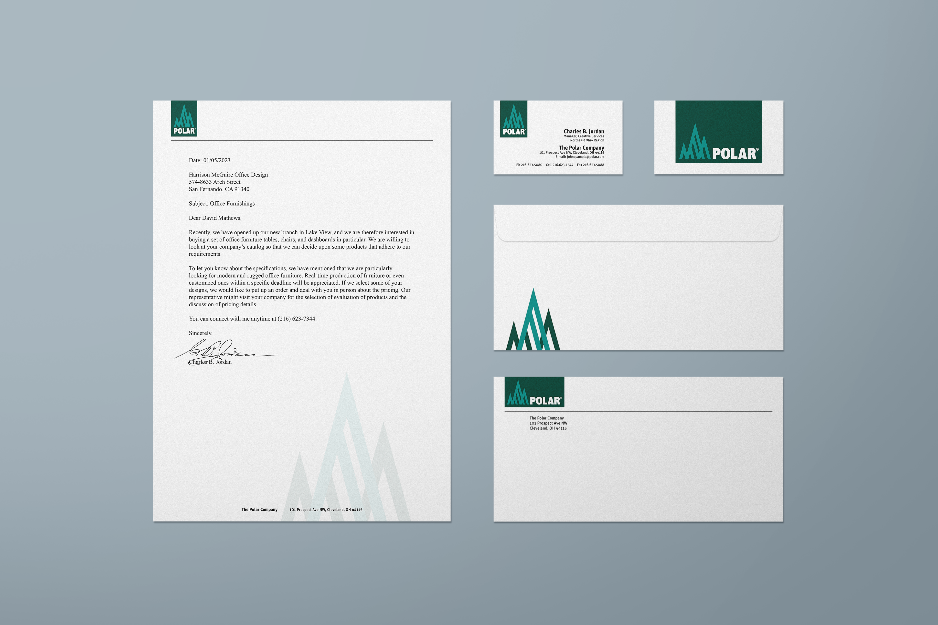 Polar: Identity Guidelines — project artwork, image 3