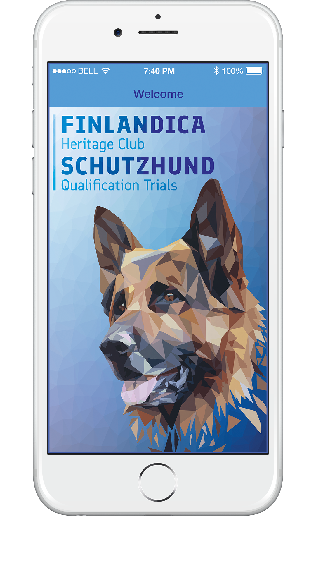 Finlandica: Schutzhund — project artwork, image 4