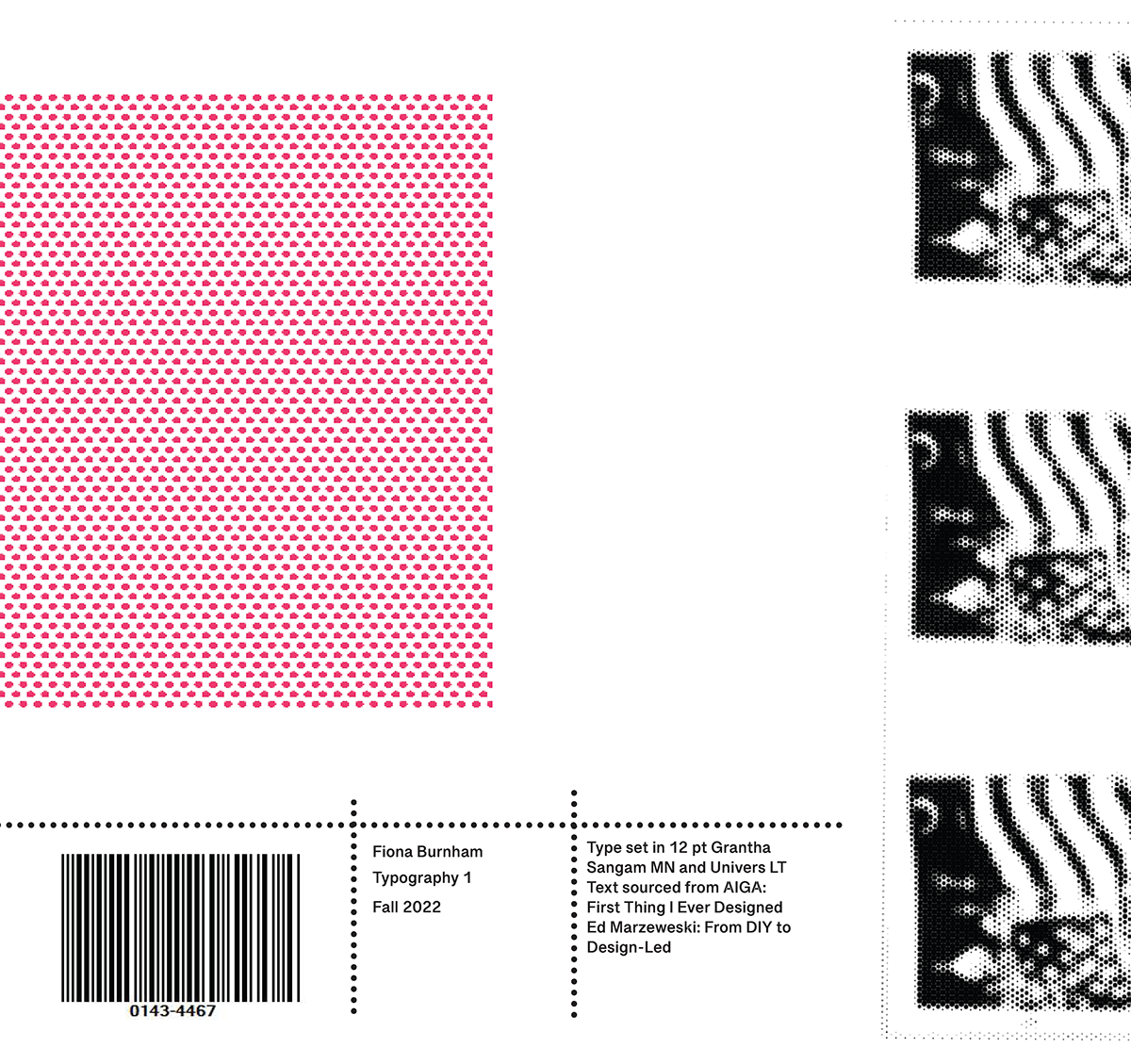 Fiona Burnham — student artwork, image 5